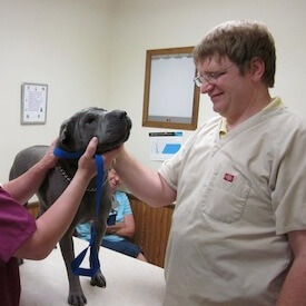 Doctor with Patient 